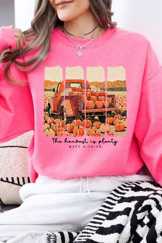 Harvest Is Plenty Graphic Sweatshirt free shipping -Oh Em Gee Boutique