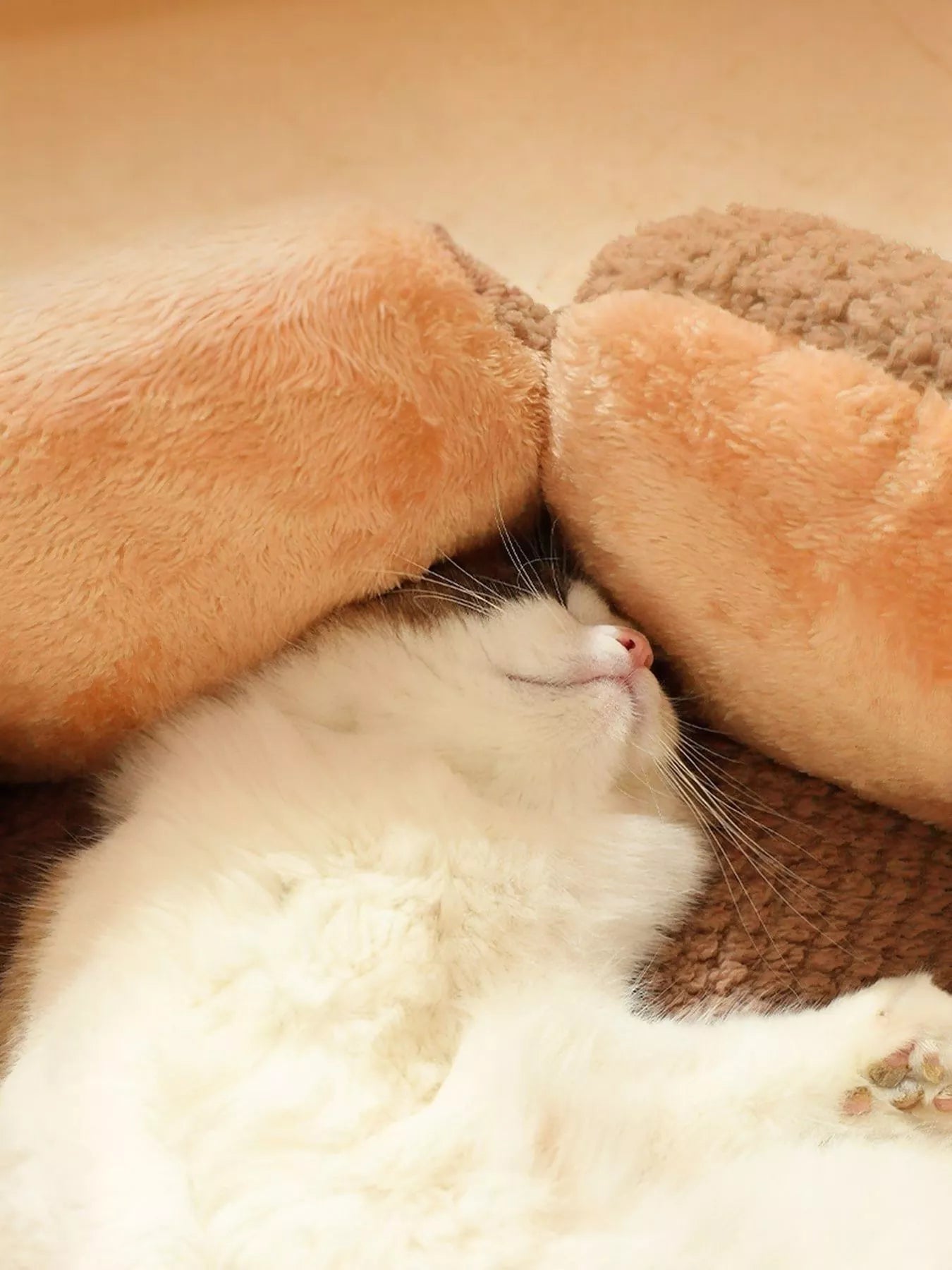 Flower Petal Plush Cozy Pet Nests, Cat/Dog free shipping -Oh Em Gee Boutique